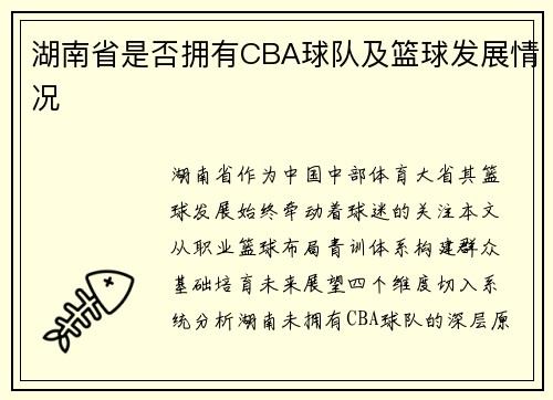 湖南省是否拥有CBA球队及篮球发展情况
