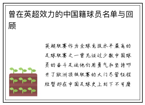 曾在英超效力的中国籍球员名单与回顾