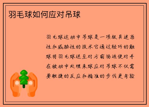 羽毛球如何应对吊球